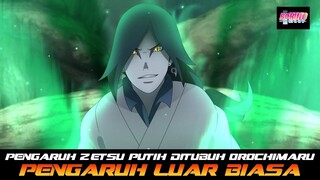 PENGARUH ZETSU PUTIH DITUBUH OROCHIMARU MEMBERI PENGARUH LUAR BIASA