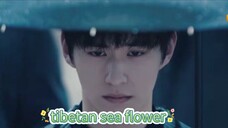 Petualangan di balik pintu perunggu (bunga laut tibet) (2024) ep 11 sub indo