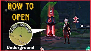 CARA MEMBUKA TELEPORT BAWAH TANAH OVERGROWN VALLEY GENSHIN IMPACT
