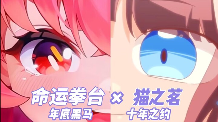 Loli bertarung: Bisa jadi kuda hitam atau bom akhir tahun! [Ring Takdir × Mao Zhi Ming]