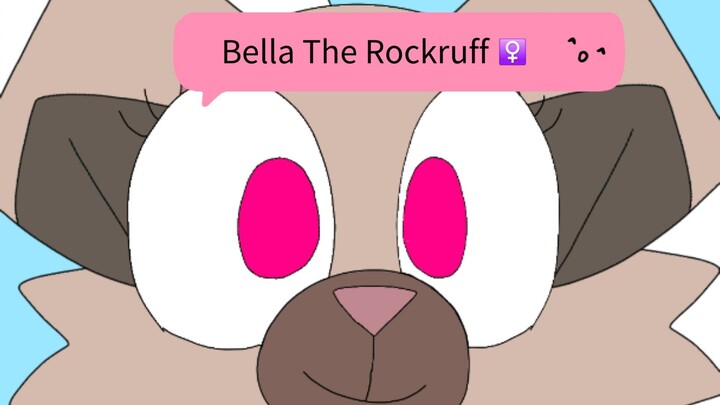 Bella The Rockruff is Back