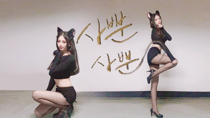 【ฮันมิน】แมวน่ากอด เหมียว~┆┊AOA☌ ก้าวเดินแบบแมวอย่างน่ารัก