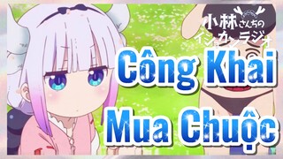 Công Khai Mua Chuộc