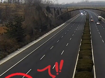 ناتشا يثير الضجيج في البحر: العم يقود عكس الاتجاه على الطريق السريع