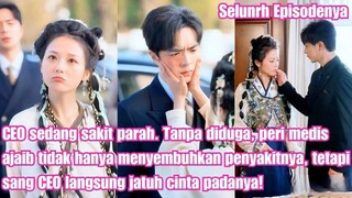 Sentuhan Ajaib Sang Peri: Cinta yang Menyembuhkan Segalanya