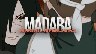 MADARA MUNCUL MEMBANTAI
