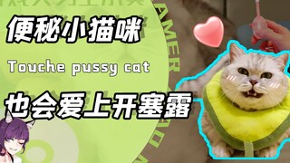 What happens when a constipated kitten falls in love with enema? The cat brothers' way of helping Ne