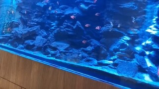 每個人僅有一次的人生，就要酣暢淋漓地去活。全心全意去做自己喜歡的事情，即使搞砸了，也只是搞砸了結果，但享受了過程。雖然有時，我們看似繞了一圈回到起點，但那已經不是最初站立不動的原點了。除了內心的收穫