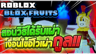 Roblox Blox Fruits วิธีได้เผ่ากูลฟรีและเงื่อนไขอีโวเป็นขั้น 3 (ดูดเลือด/คอมโบโหด/ความสามารถพิเศษ!)