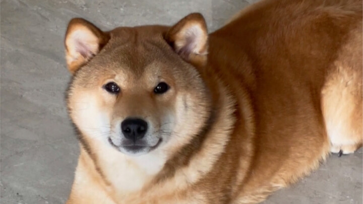 ابن أمي الكبير (حان الوقت ليعمل في كل الاتجاهات!)