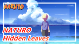 NATURO|Where Hidden Leaves Fly, Naruto Lives On