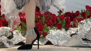 إذا كان عيد الحب، أريد الكعب العالي والورود