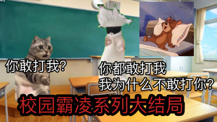 【Cat Meme】After the head teacher thought my family was poor and powerless and classmates bullied me 