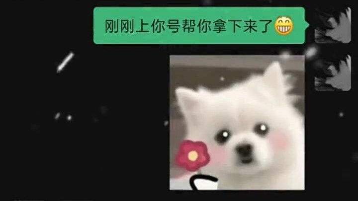 Buy “Swan’s Dream” for my bro—he’ll cosplay as “Swan’s Dream” for me!