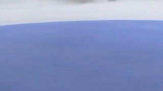 到手的冠军被韩国队推飞，荷兰选手忍不住了....