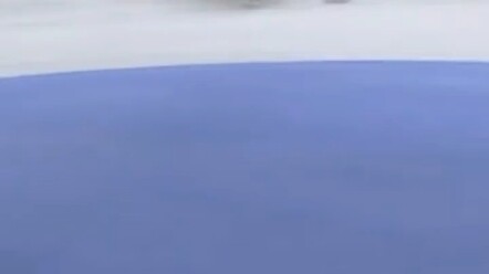 到手的冠军被韩国队推飞，荷兰选手忍不住了....