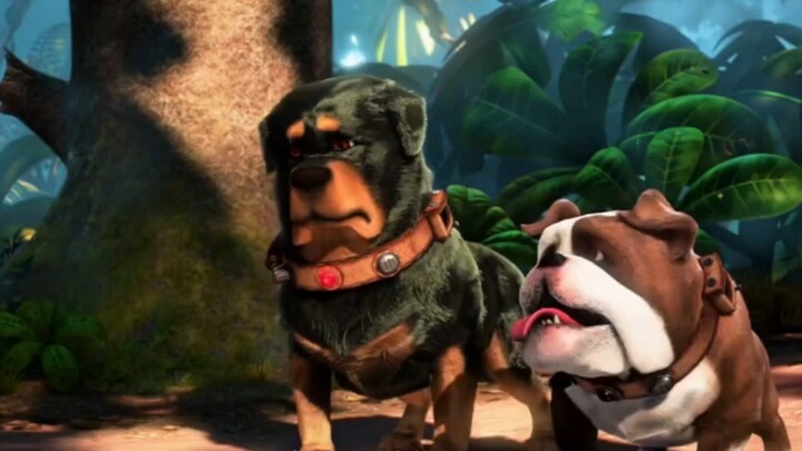 “This dog’s voice has nothing to do with its appearance!”