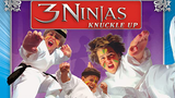 3 ninjas knuckle up 1993