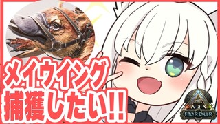 【#ホロARK】メイウイングどこ？？？？捕まえに行く！！！【ホロライブ/白上フブキ】