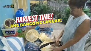 PAG-ANI NG LANGKA | Tenrou21