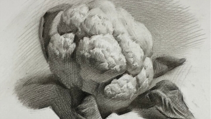 [Still Life Sketch] How to Draw Cauliflower