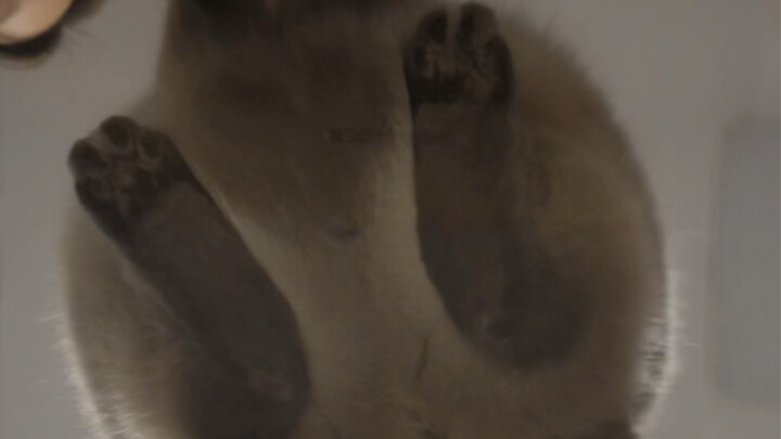 Ngồi xuống rửa bạn