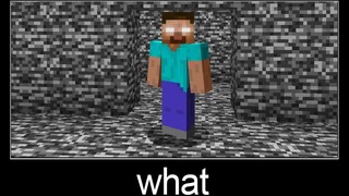 Minecraft รออะไร meme part 4 Herobrine