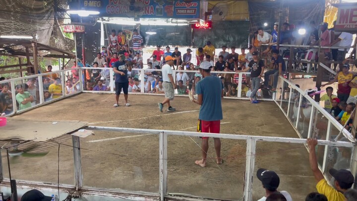 Pure hatch (Hackfight) Win