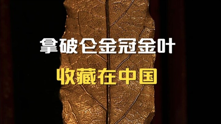 Napoleon’s gold crown and gold leaf collection is in China.