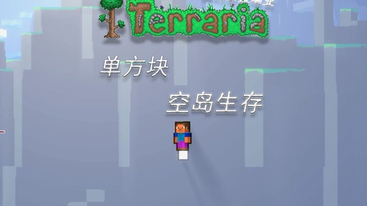 Sekilas tentang bertahan hidup di pulau kosong satu blok ala saya di Terraria