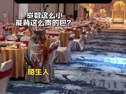 Is it really that hard to just get an apology?