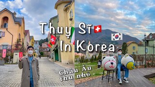 Khám phá Ngôi làng THỤY SĨ ở HÀN QUỐC - Có một CHÂU ÂU thu nhỏ gần SEOUL.