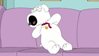 【Family Guy】Civilized family, harmonious and loving, Family Guy
