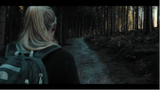 Autumn walk through the forest - cinematic video (shot on Canon 77D)
