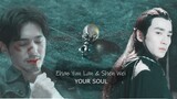► Zhao Yun Lan & Shen Wei | Your Soul | 镇魂 Guardian