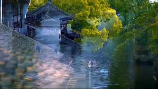 Why do Chinese people want to go home and farm when they are frustrated?