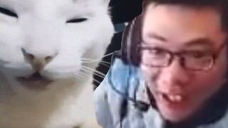 Da Sima Cat meme ten-minute brainwash cycle