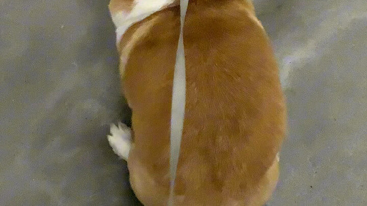 Hip-hugging and wide open!!