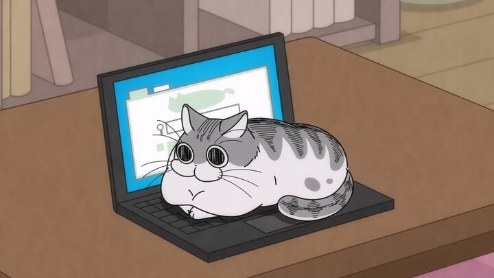 Meow Meow Sleepless Night 34 Cat on the Keyboard
