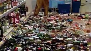 英国一女子在超市内莫名开始砸酒，造成损失超过10万英镑