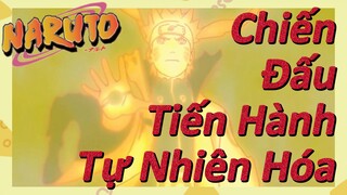 Chiến Đấu Tiến Hành Tự Nhiên Hóa