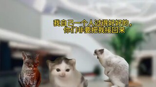 إذا أغضبتني، سأجن