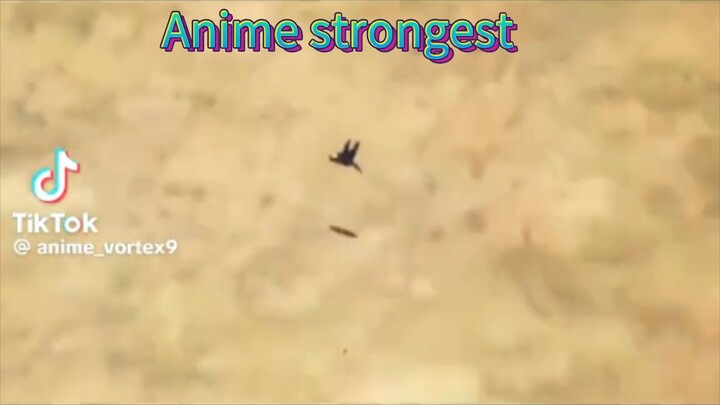 anyone please find what anime this is if you know comment thank you