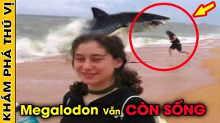 🔥 10 Đoạn Video Bằng Chứng Chứng Minh MEGALODON Vẫn Còn Tồn Tại Khiến Cả Thế Giới Sốt Nặng | KPTV