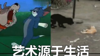 “猫和老鼠，果然诚不欺我！”