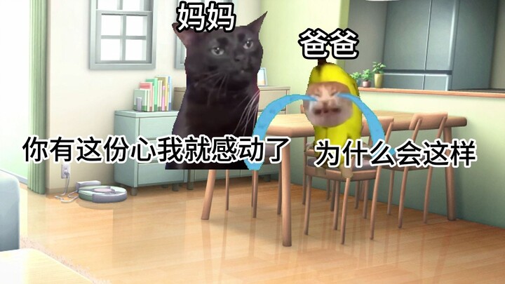 [Cat Meme] The Story of Dad Trying to Catch Fish for Mom but Getting Crushed by Reality