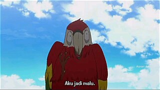 BEO BEJAT🤬😤😤