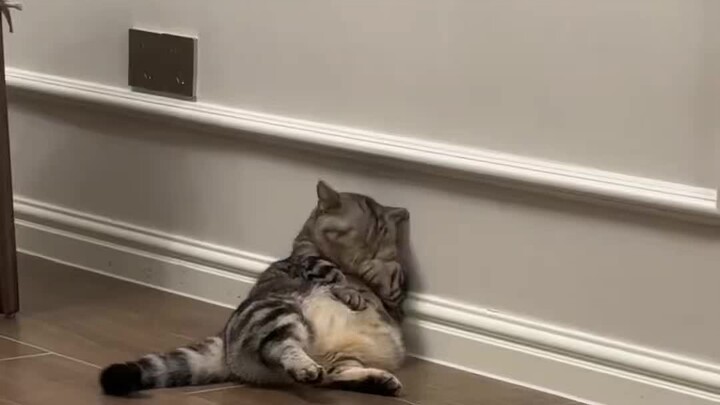 มันน่ารักมากเลยนะ แค่นอนนิ่งๆ อยู่ตรงนั้นเอง