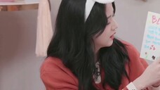 Subtitle bahasa Mandarin·Pesta Piyama BLACKPINK akan segera hadir! ! ! |Pratinjau Salam Musim 2021 d