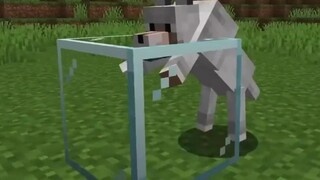 Tôi đã thêm giao phối cận huyết vào Minecraft # Minecraft #minecraft #mcbấtdiệt
